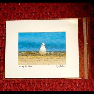 Matted Digital Photo: “”Looking for Food”